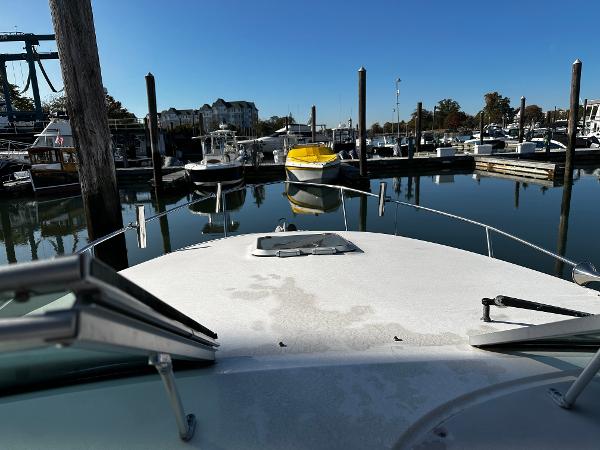2004 Rinker Fiesta Vee 250 boat docked in a marina under clear blue skies.