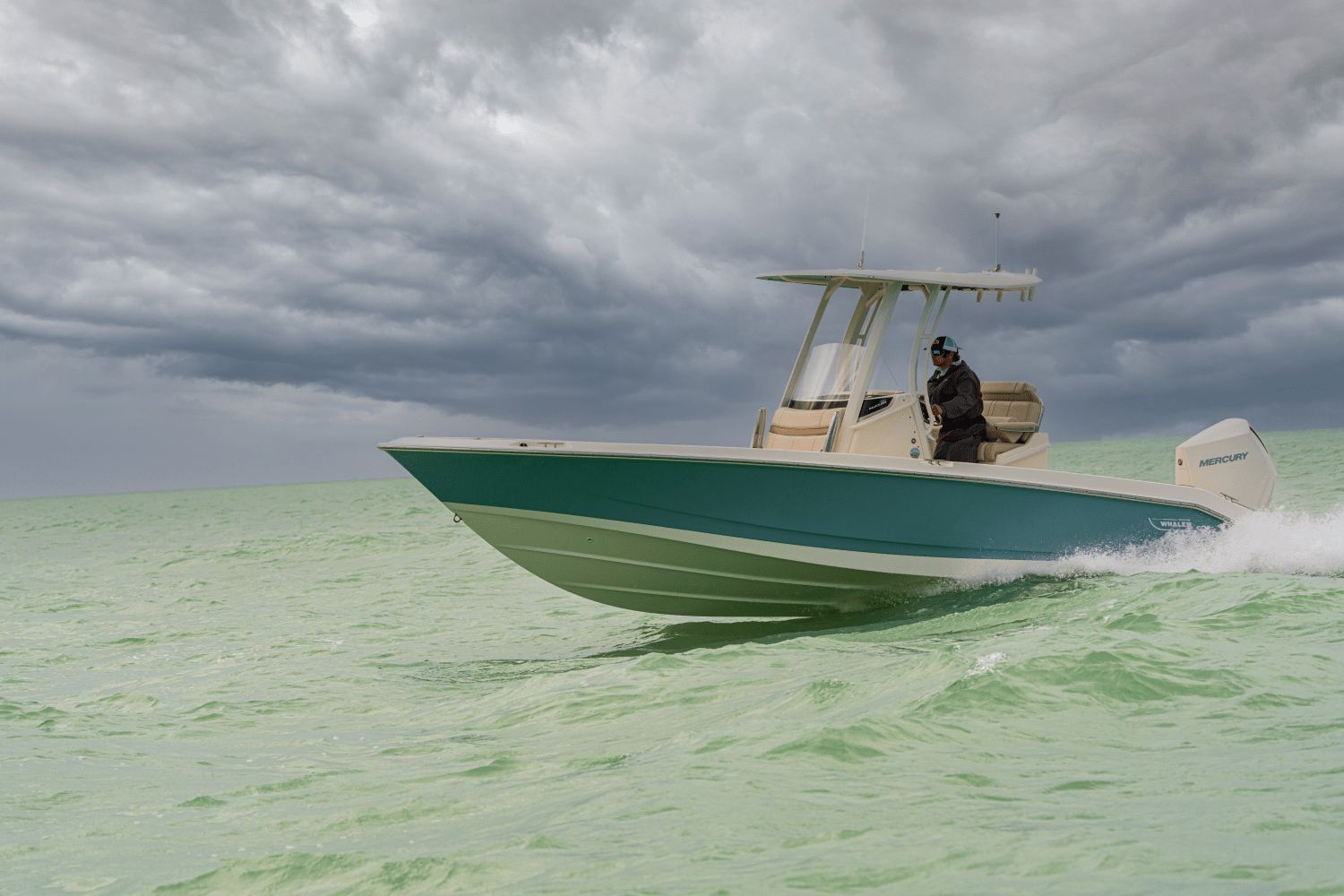 2026 Boston Whaler 250 Dauntless - 23