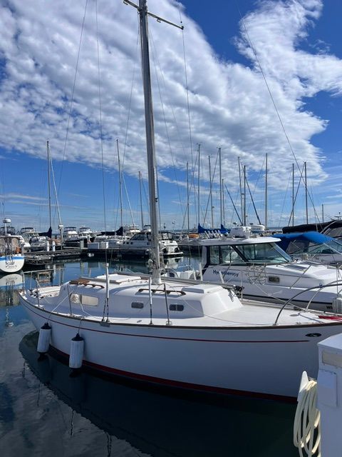 A white sailboat docked in a marina, surrounded by other boats under a blue sky.