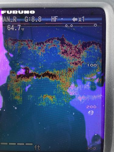 Fish finder display on a 1979 Chaparral 224 Fisherman boat.