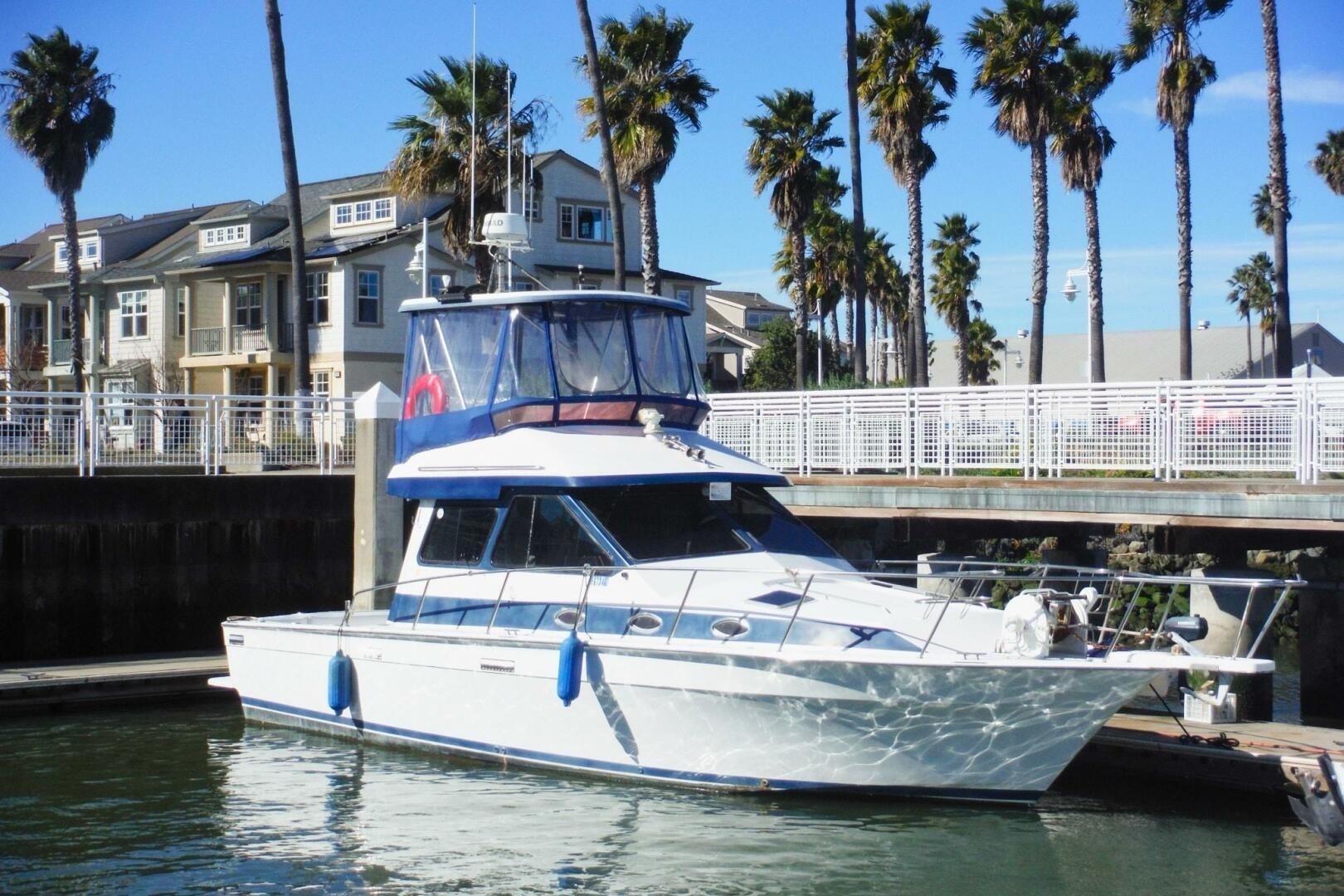 1990 Mediterranean Sport Fish