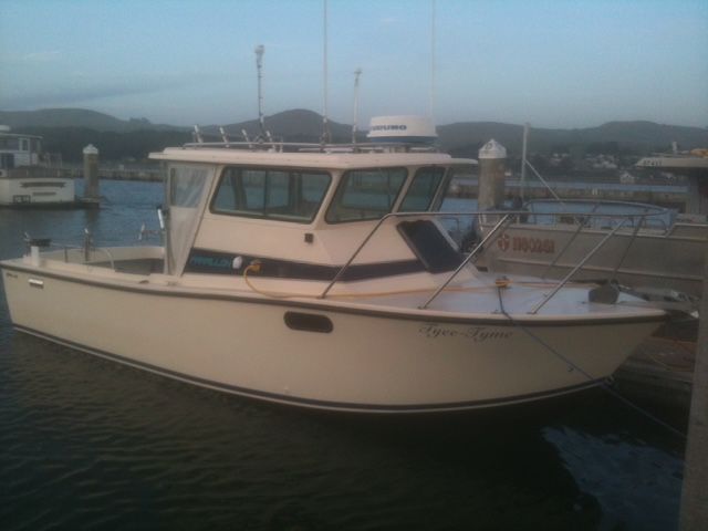 1995 Farallon Whaleback - 2
