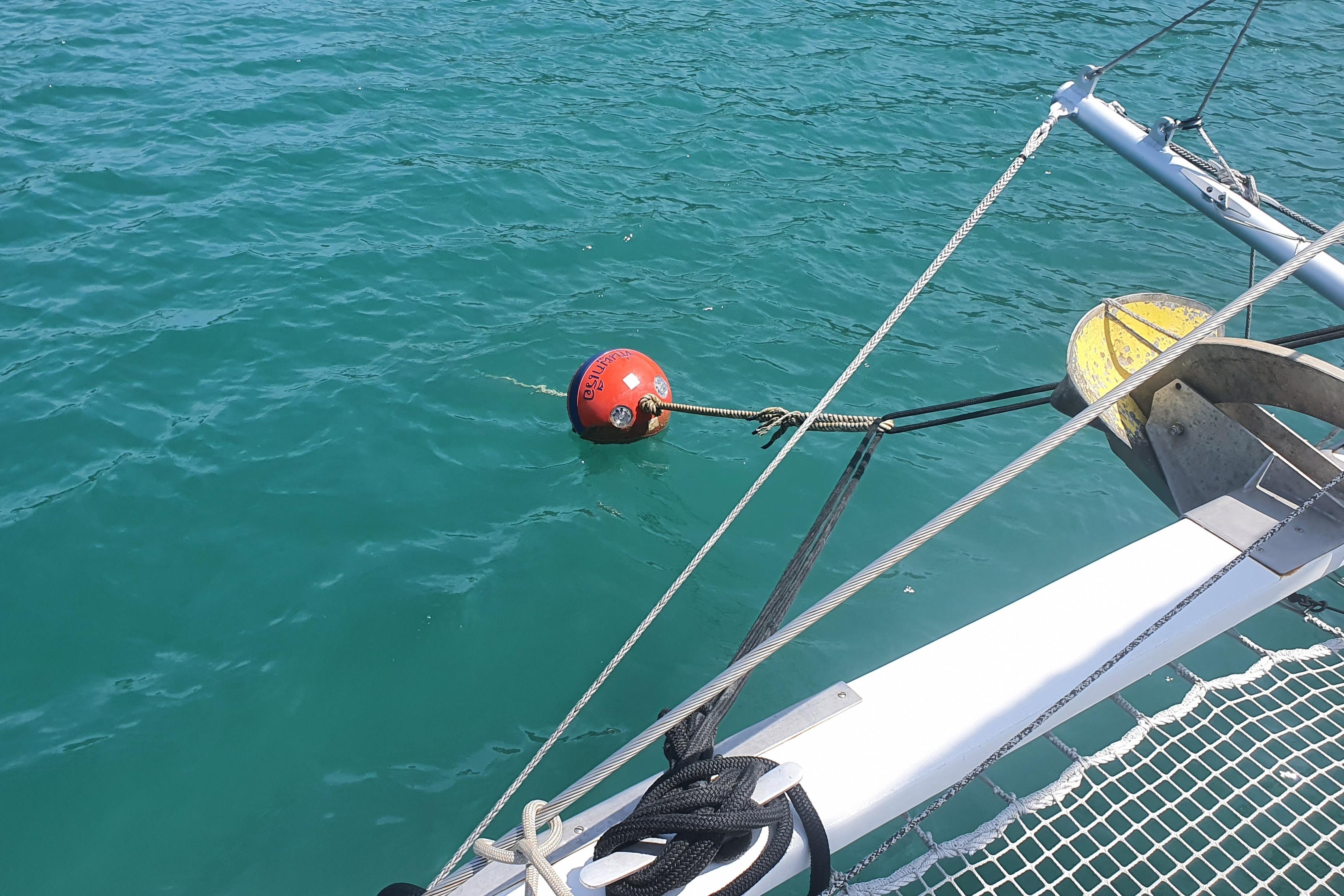 Sailboat Multicap Caraibes PUNCH 1500 LC moored with buoy in clear blue water.