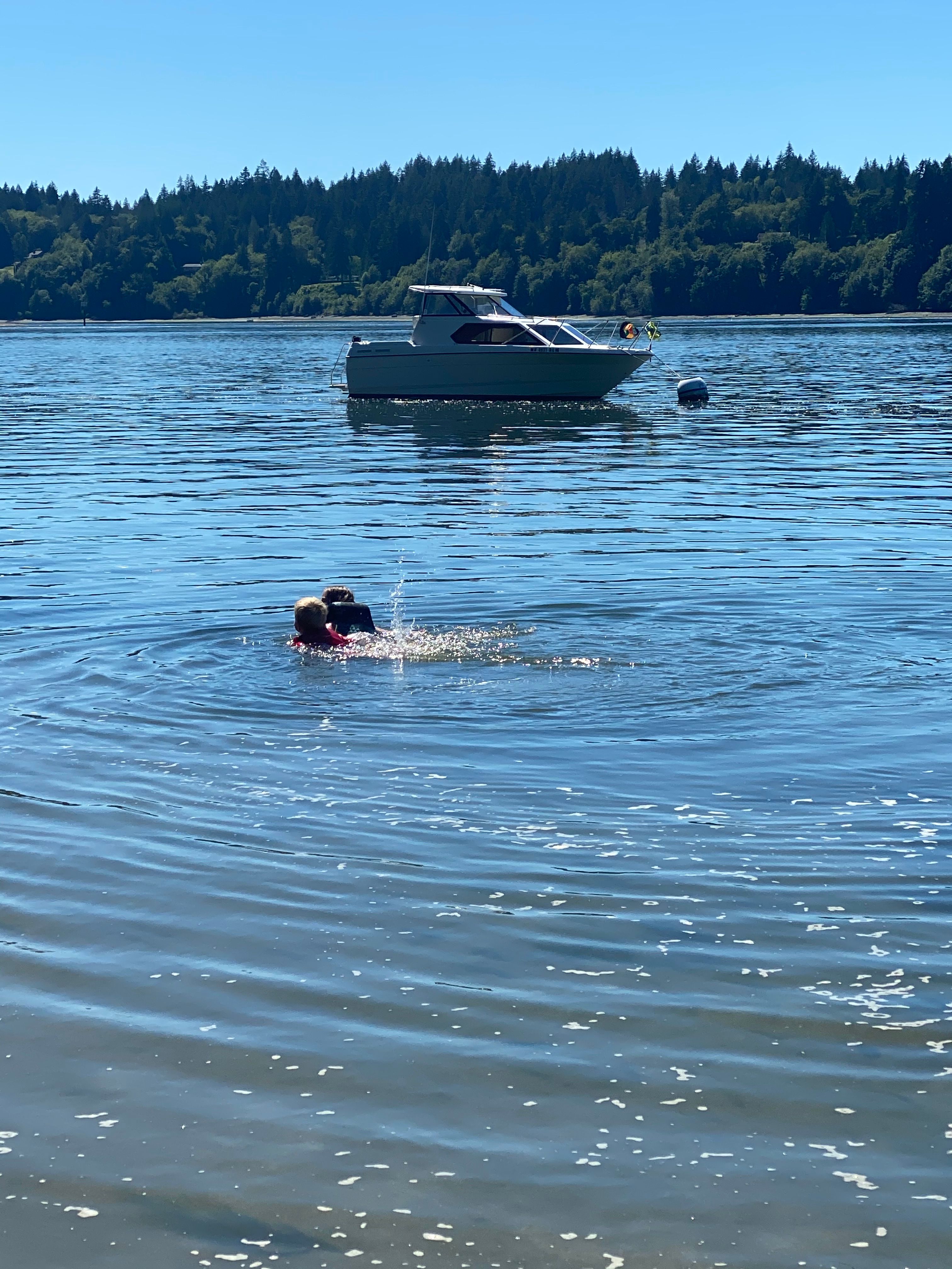Person swimming near a Bayliner 2452 boat on a lake.