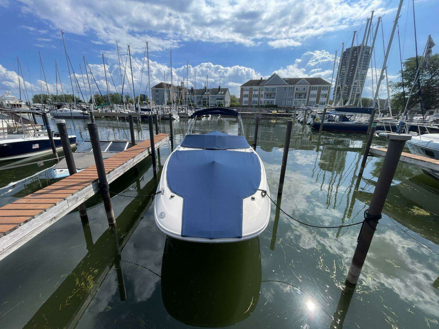 2010 Sea Ray 280 Sun Deck - Image 52