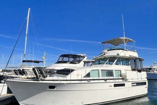 1977 Bertram 42 Motor Yacht