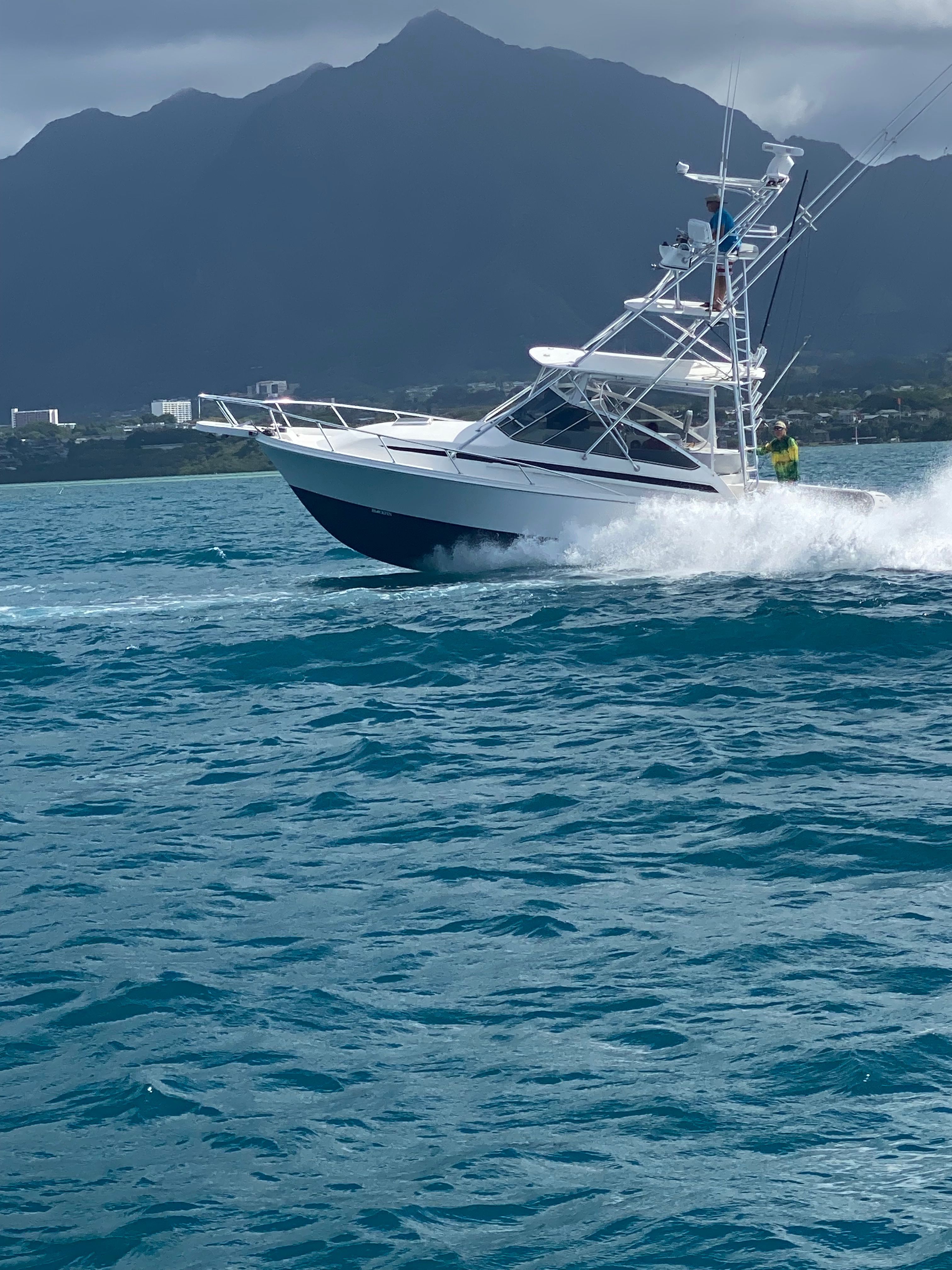 2001 Blackfin Combi