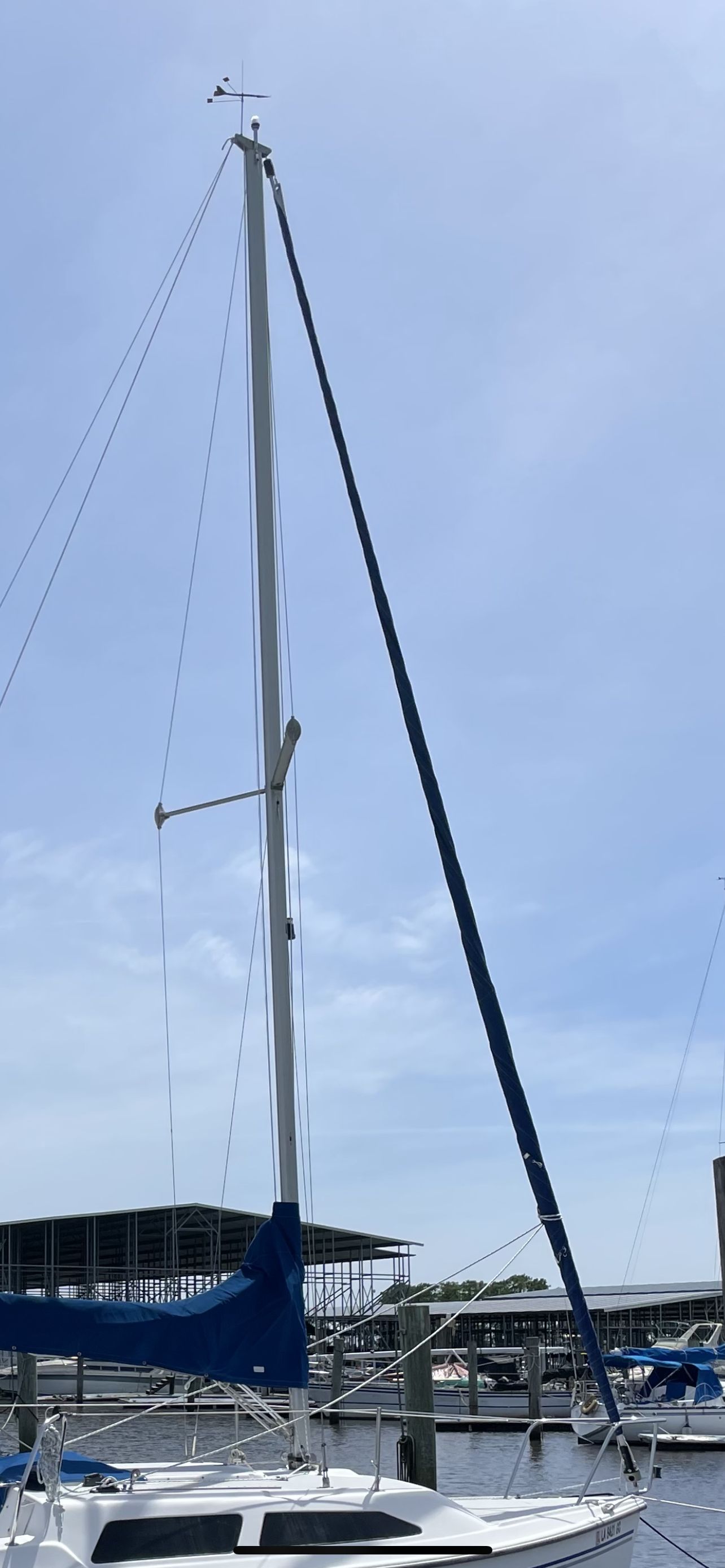 2005 Catalina C250 - 4