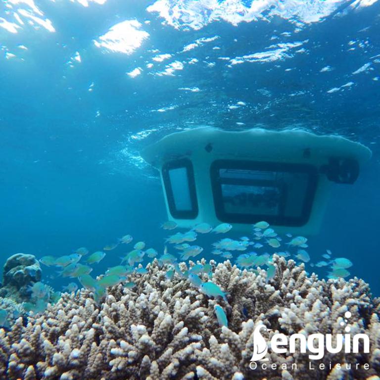 2026 Penguin Semi-Submarine 2.1 Gasoline