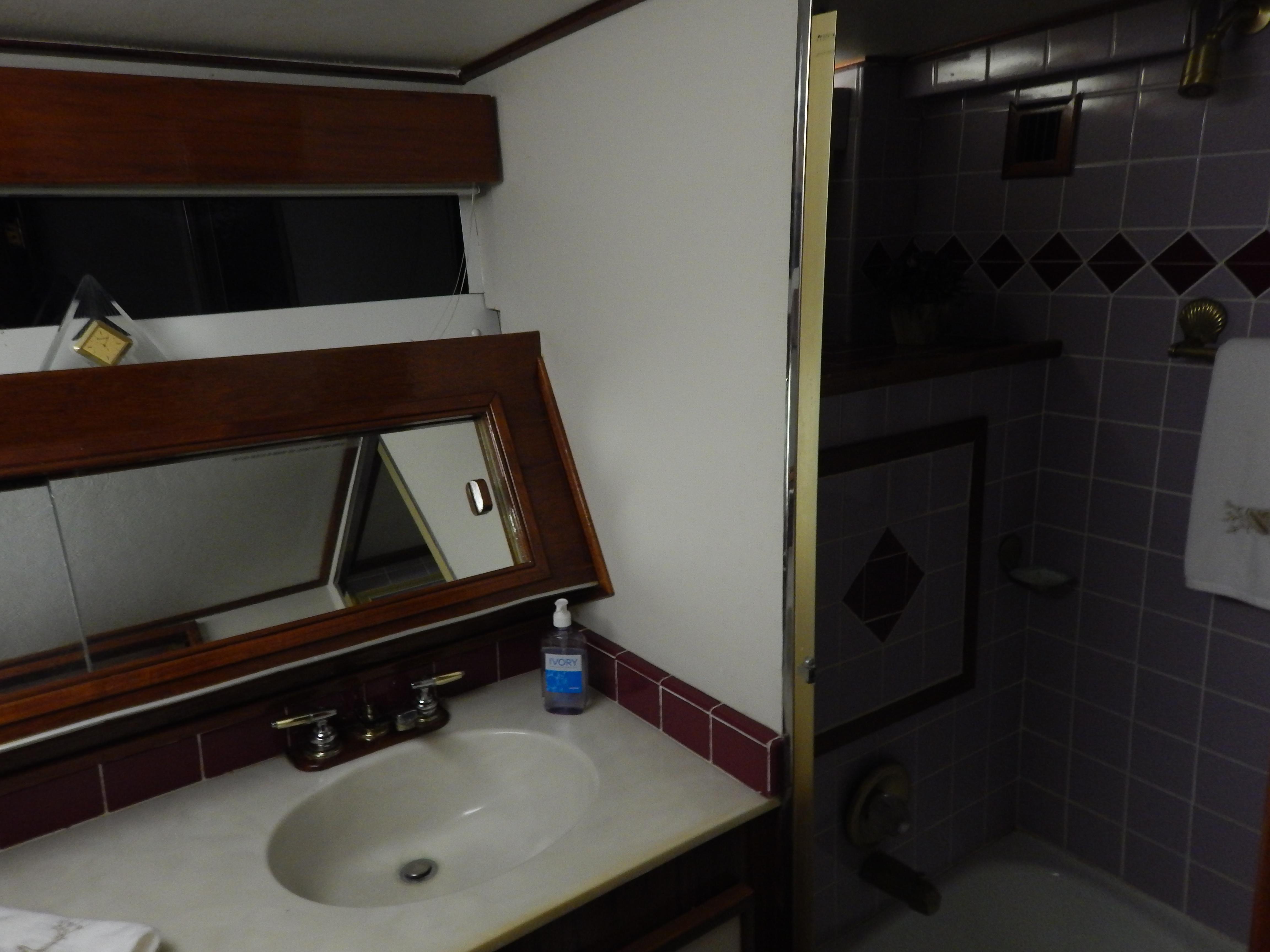 1974 Pacemaker Cockpit Motoryacht bathroom with sink, mirror, and tiled shower area.