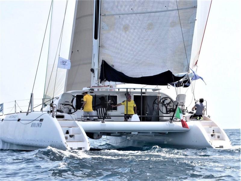 2011 Custom Latini Cat 43