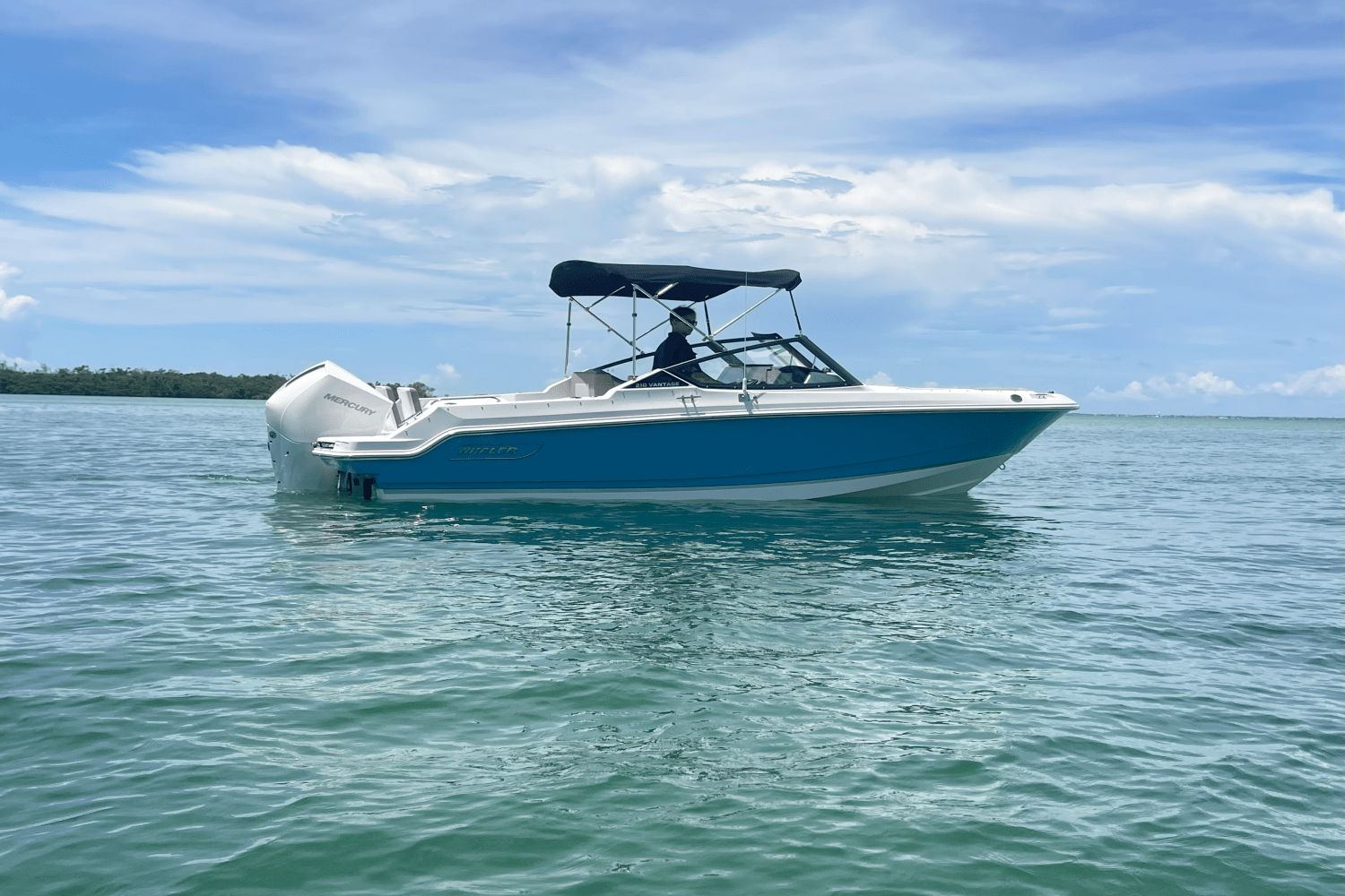2025 Boston Whaler 210 Vantage