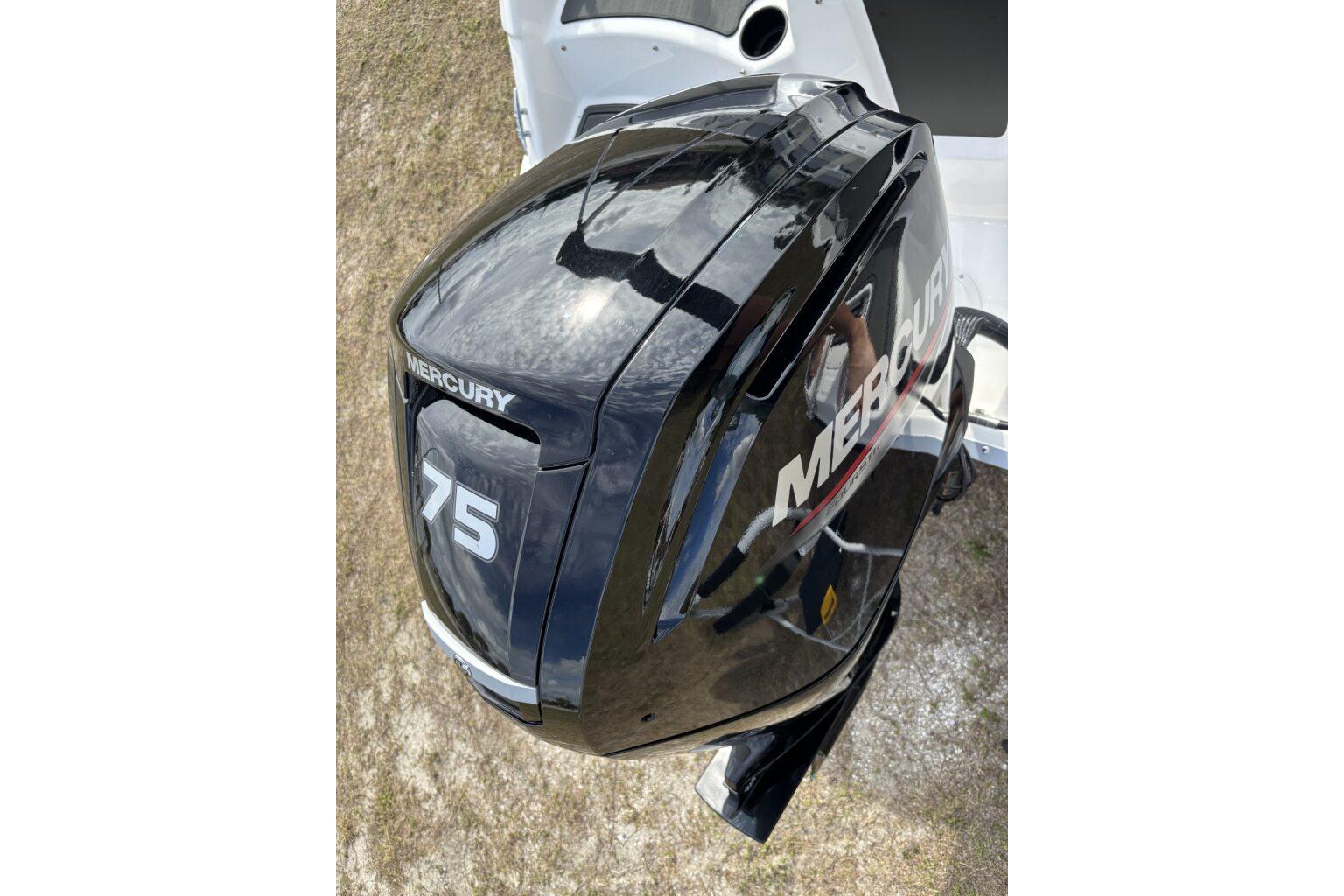 Mercury 75 outboard motor on 2025 Bayliner Element M17 boat.