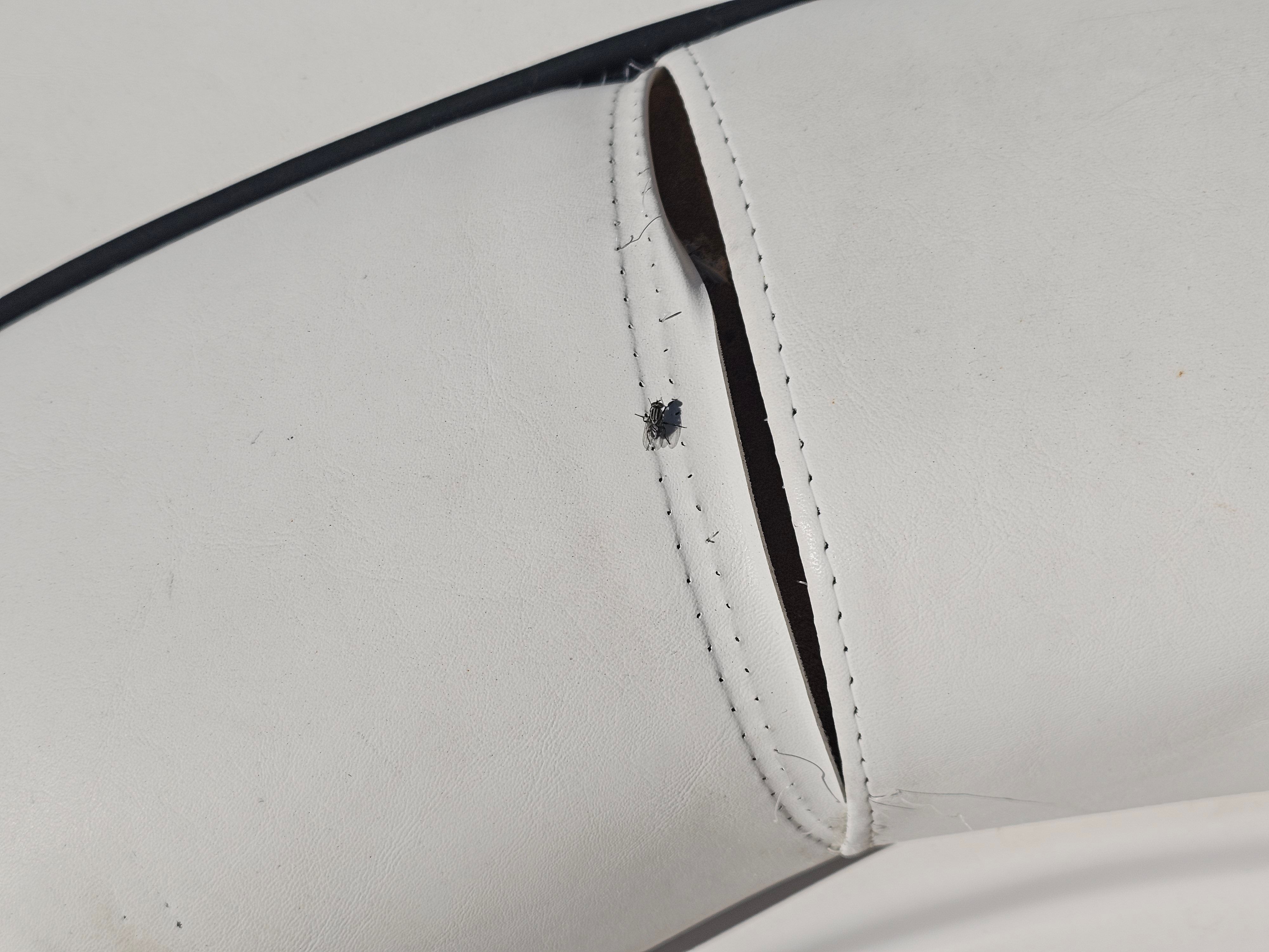 Close-up of white seat with fly, Godfrey Hurricane Sundeck 187, 2002.