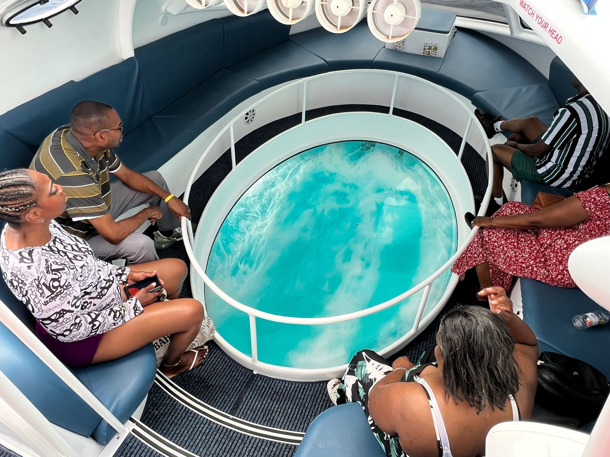 People sit in a glass-bottom boat, observing the water below.