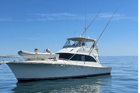 1995 Ocean 53 Super Sport