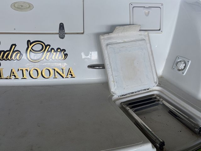 1999 Chris-Craft 300 Express - 26