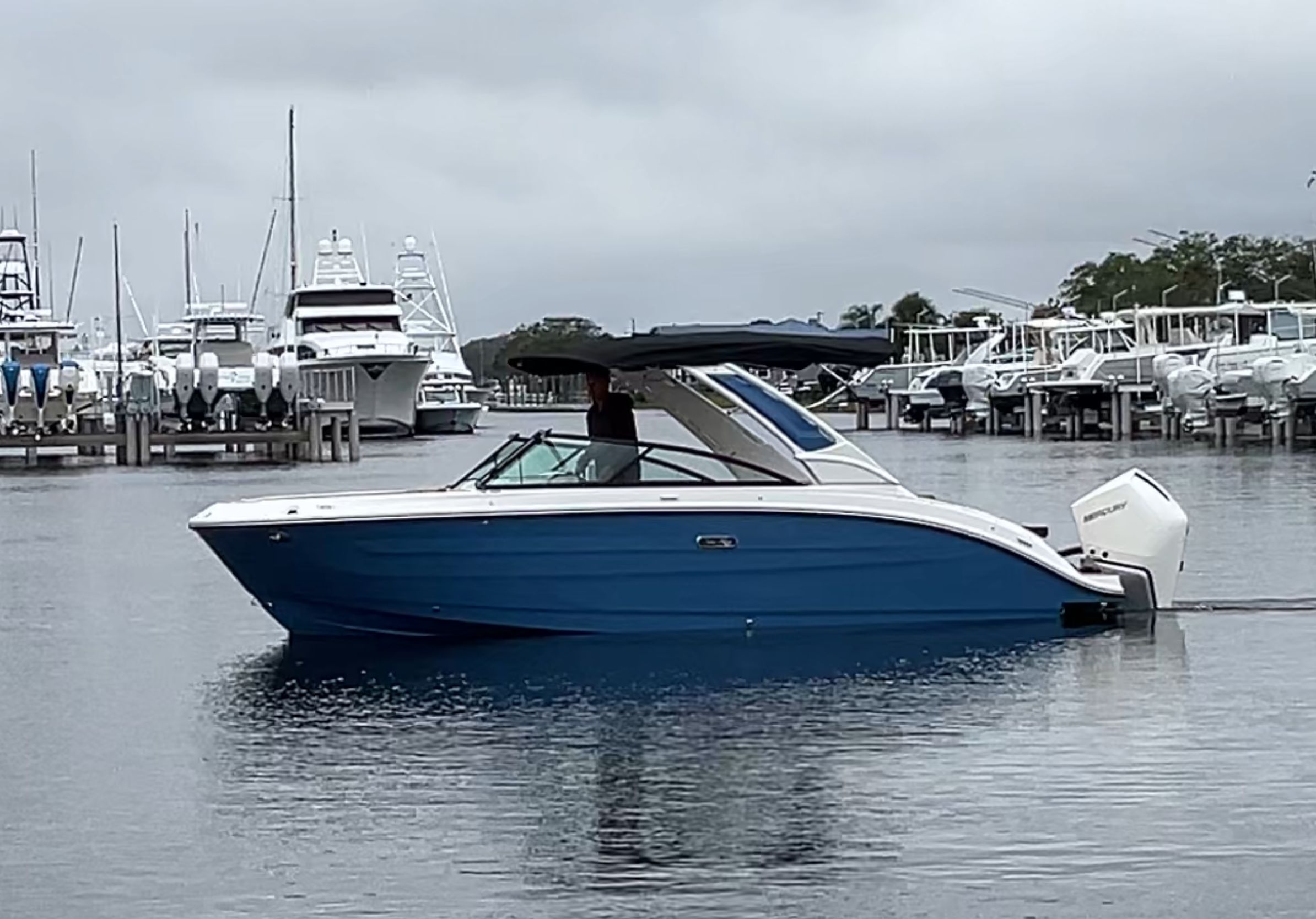 2026 Sea Ray SDX 250 Outboard