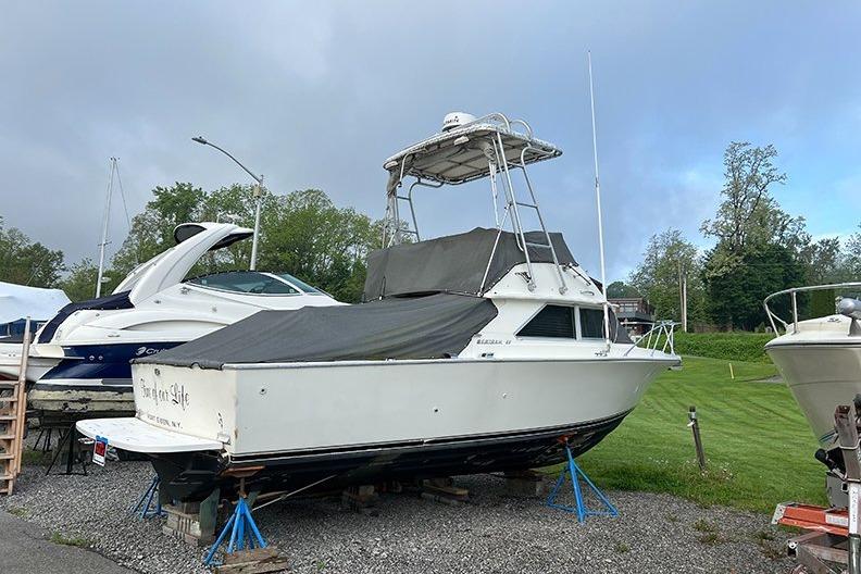 1973 Bertram 28 Flybridge Cruiser