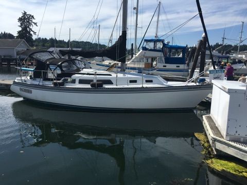 A 1982 Newport 33 sailboat docked in a marina. It features a white deck and black covers.