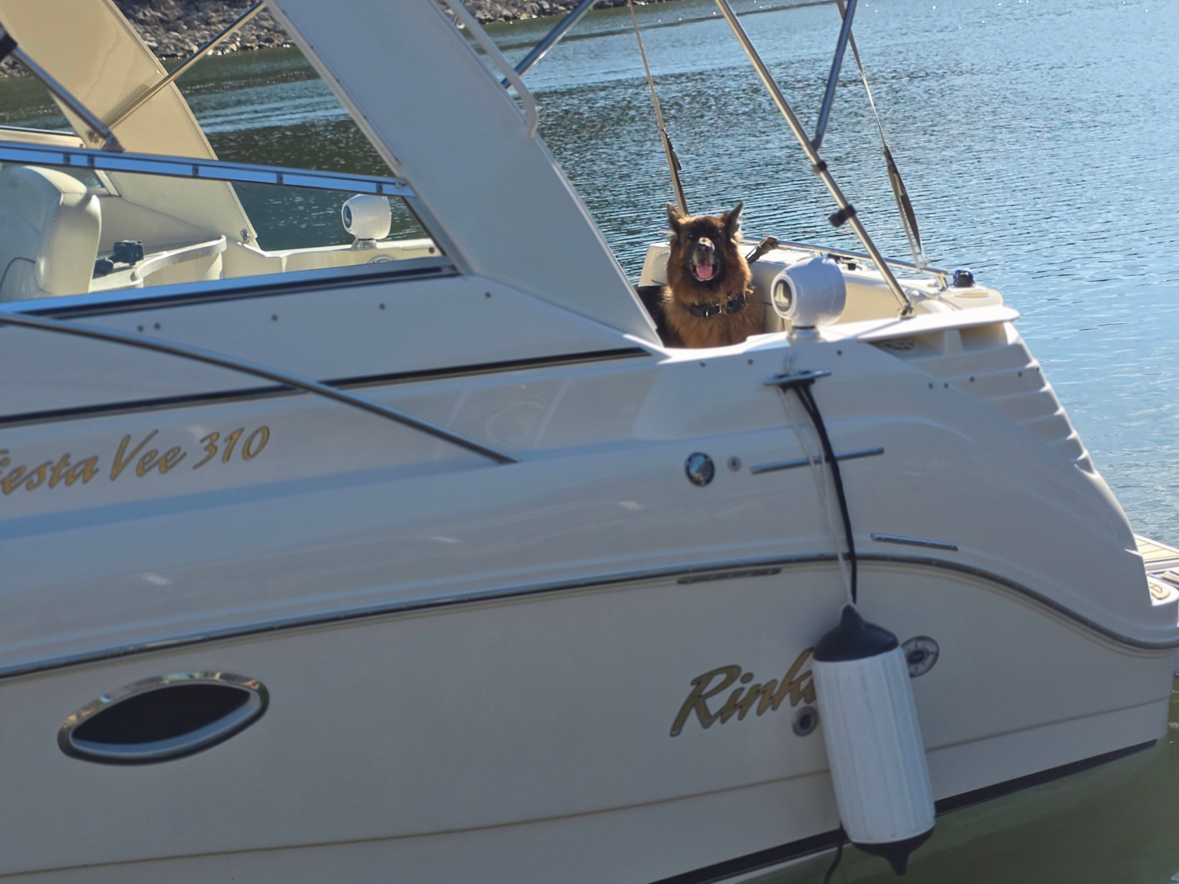 2001 Rinker Fiesta Vee 310