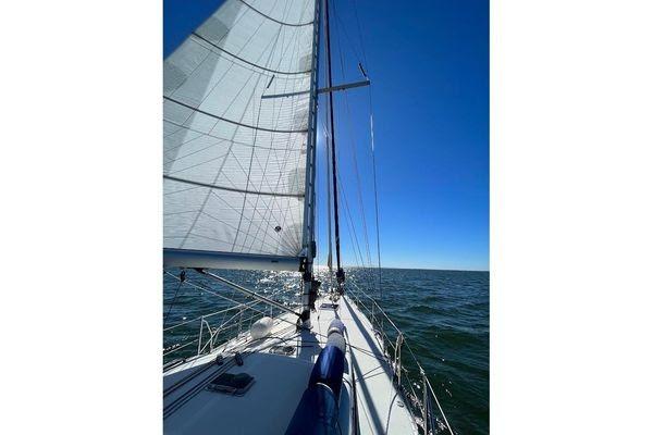 2011 Reliance 44