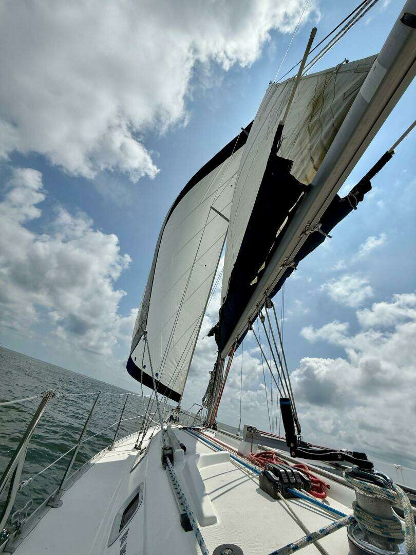 2002 Jeanneau 34.2 - Image 35