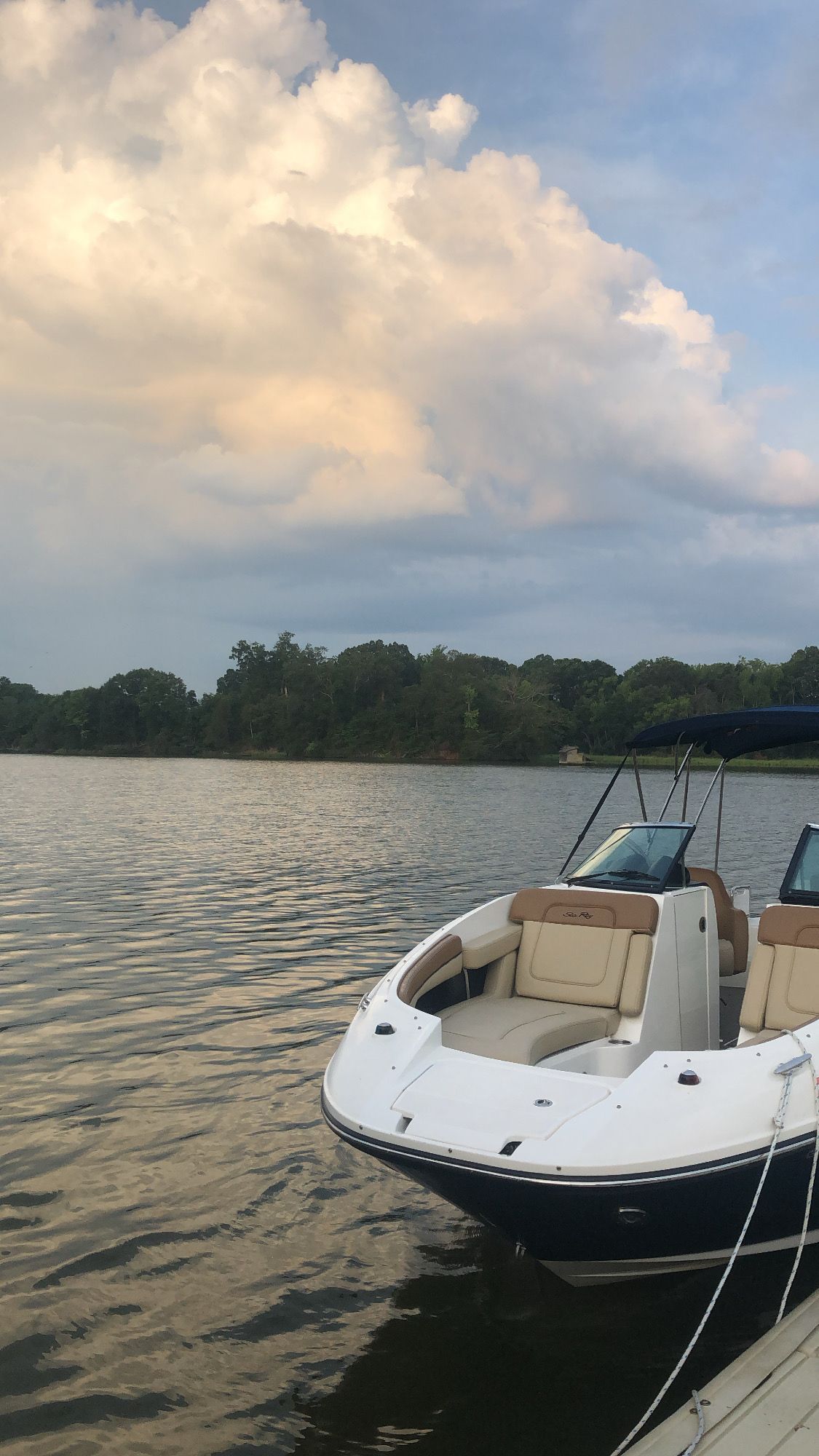 2014 Sea Ray 260 Sundeck - 11