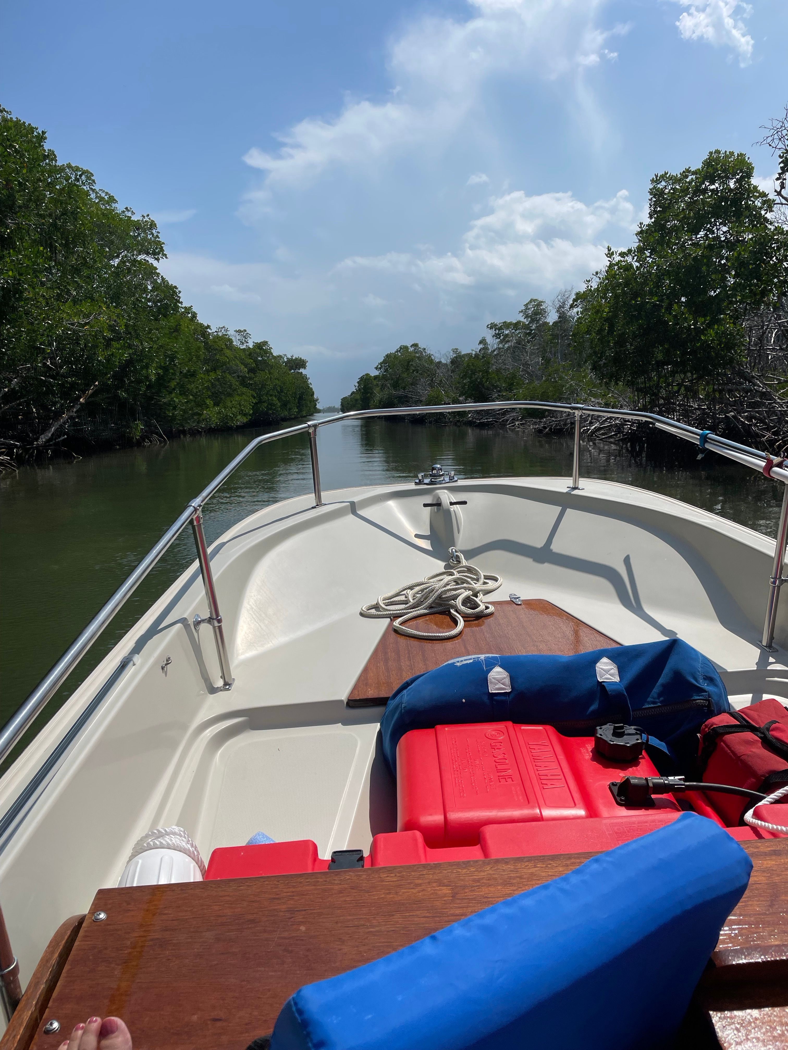 1983 Boston Whaler 15 Super Sport - 8