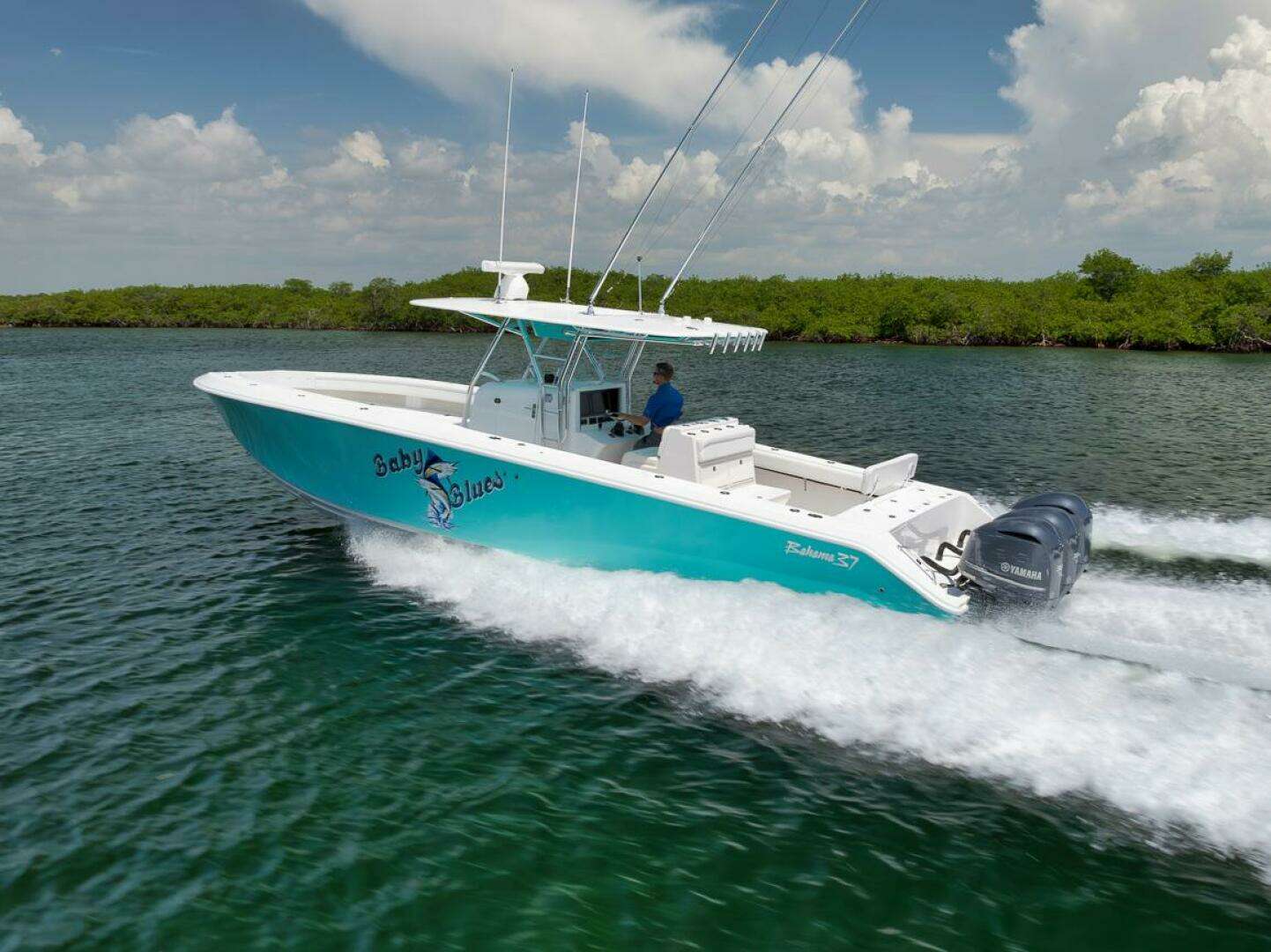2013 Bahama — - Image 5