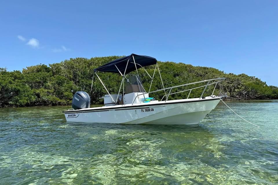 1992 Boston Whaler 19 OUTRAGE