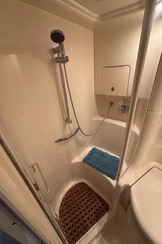 2004 Sea Ray 380 Sundancer bathroom with shower and blue mat.