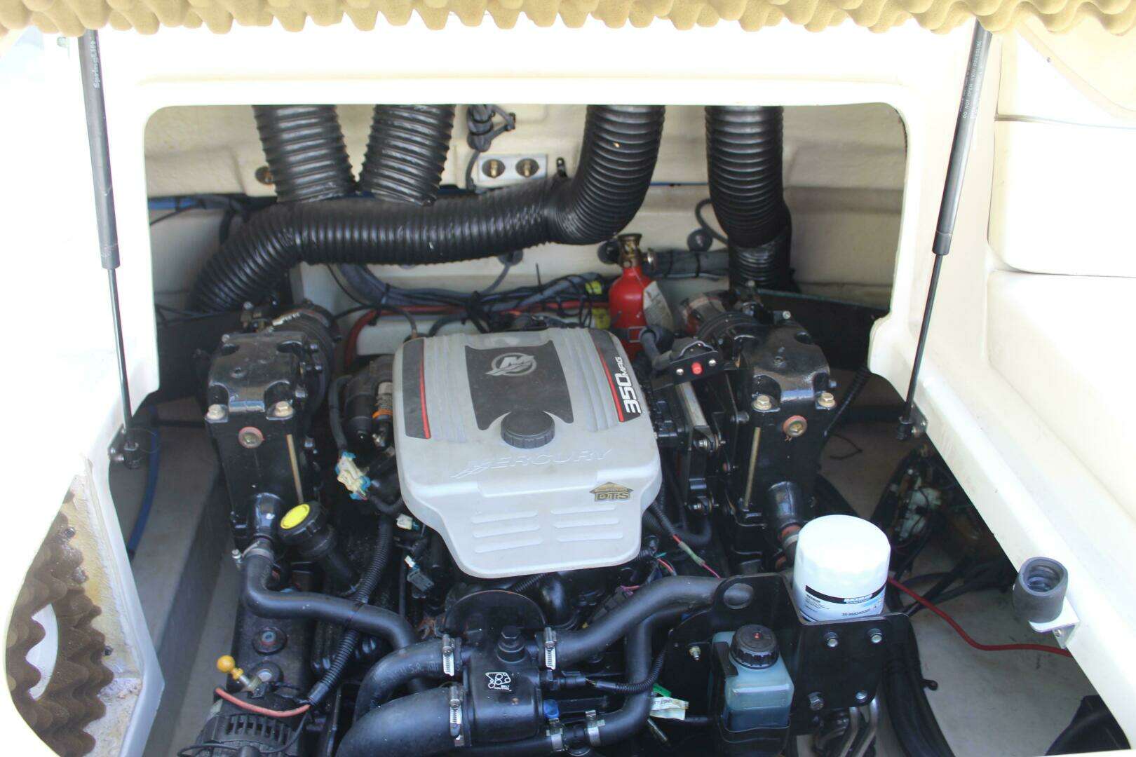 2008 Sea Ray 240 Sundeck - Image 23
