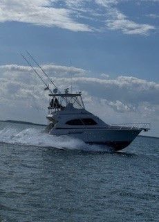 2004 Bertram 390