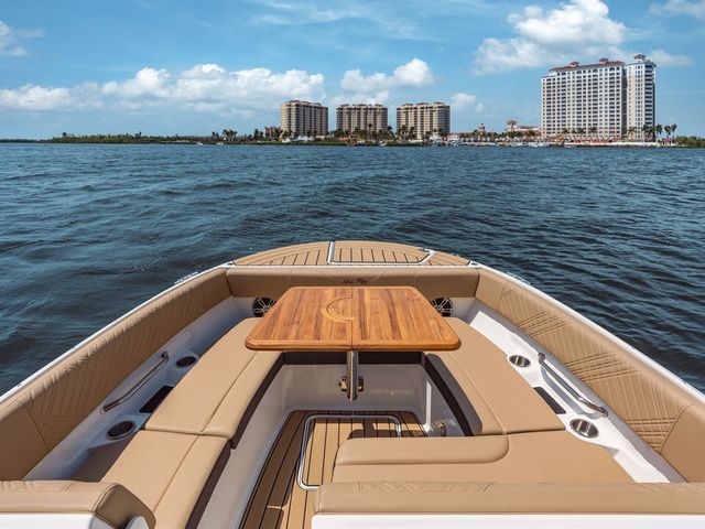 2025 Sea Ray SDX 270 - 5