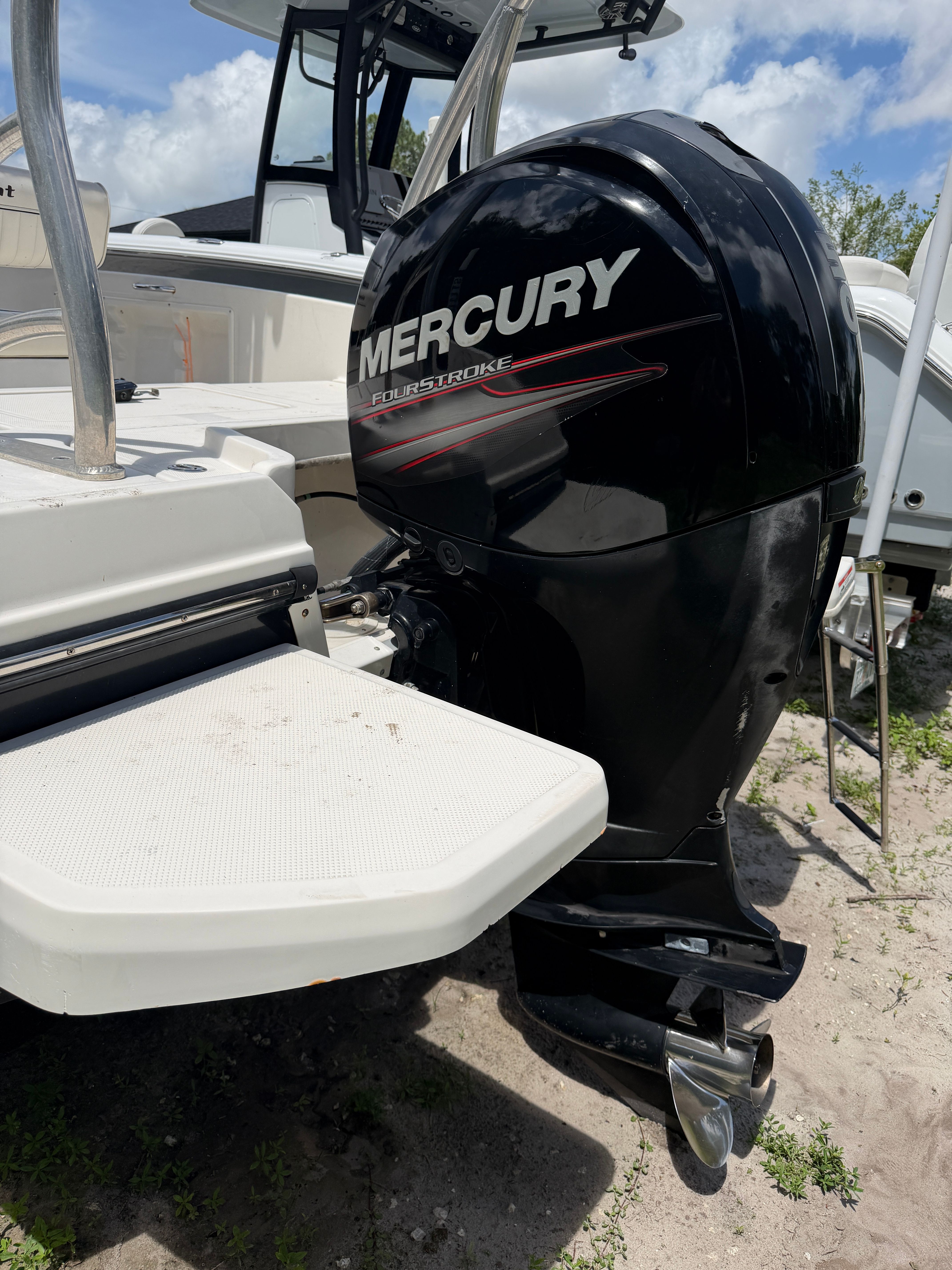2018 Bayliner Element F21 with Mercury outboard motor.