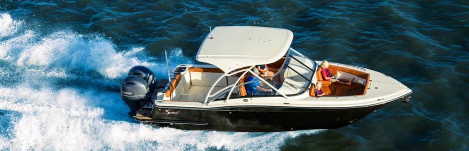2023 Scout 255 Dorado - 28
