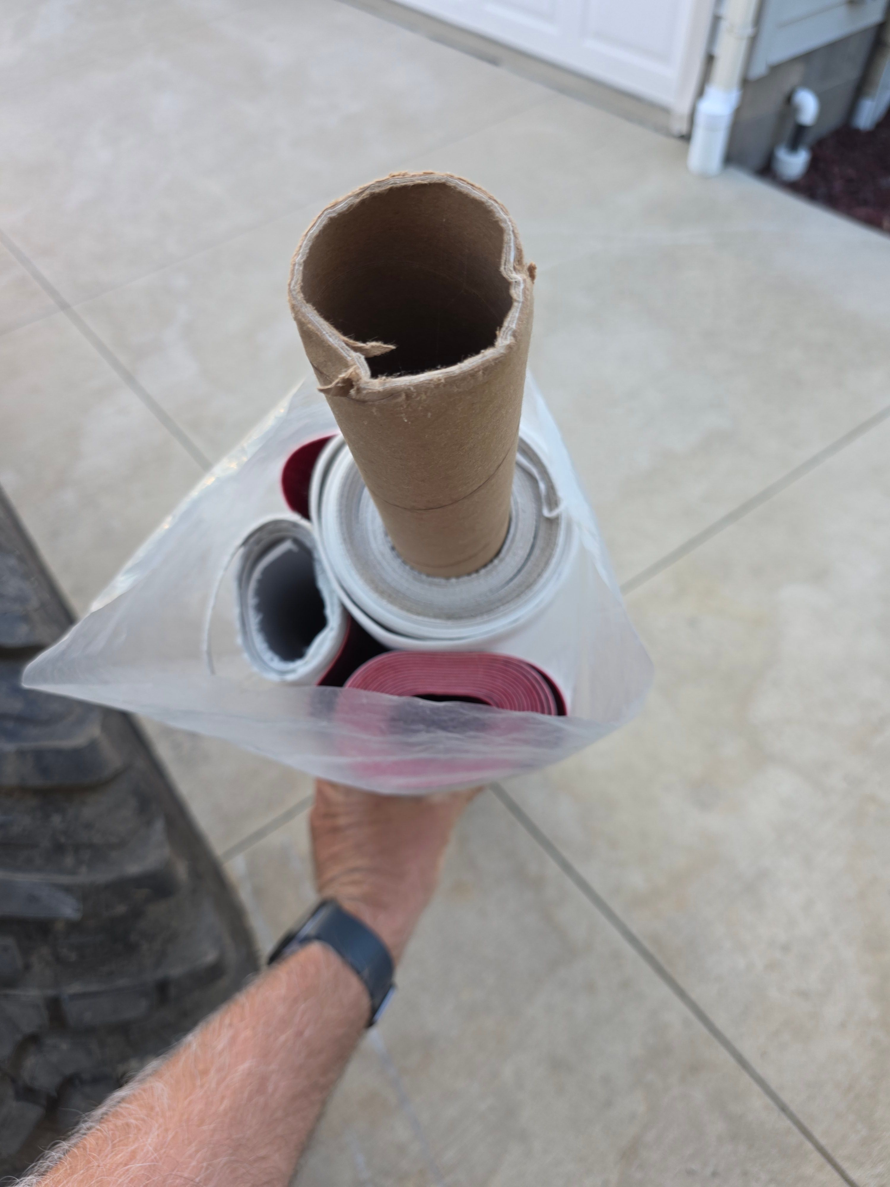 Person holding multiple rolled posters in a plastic bag.