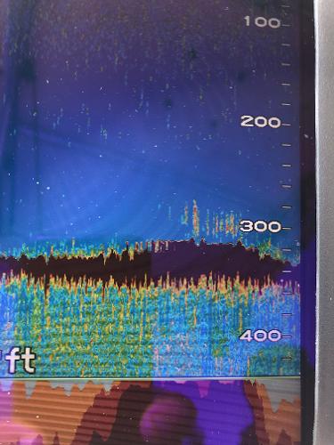 Fish finder display showing depth readings on a 1979 Chaparral 224 Fisherman boat.
