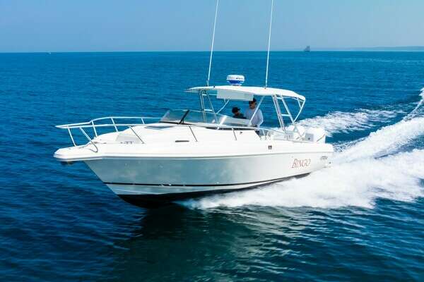 1995 Intrepid