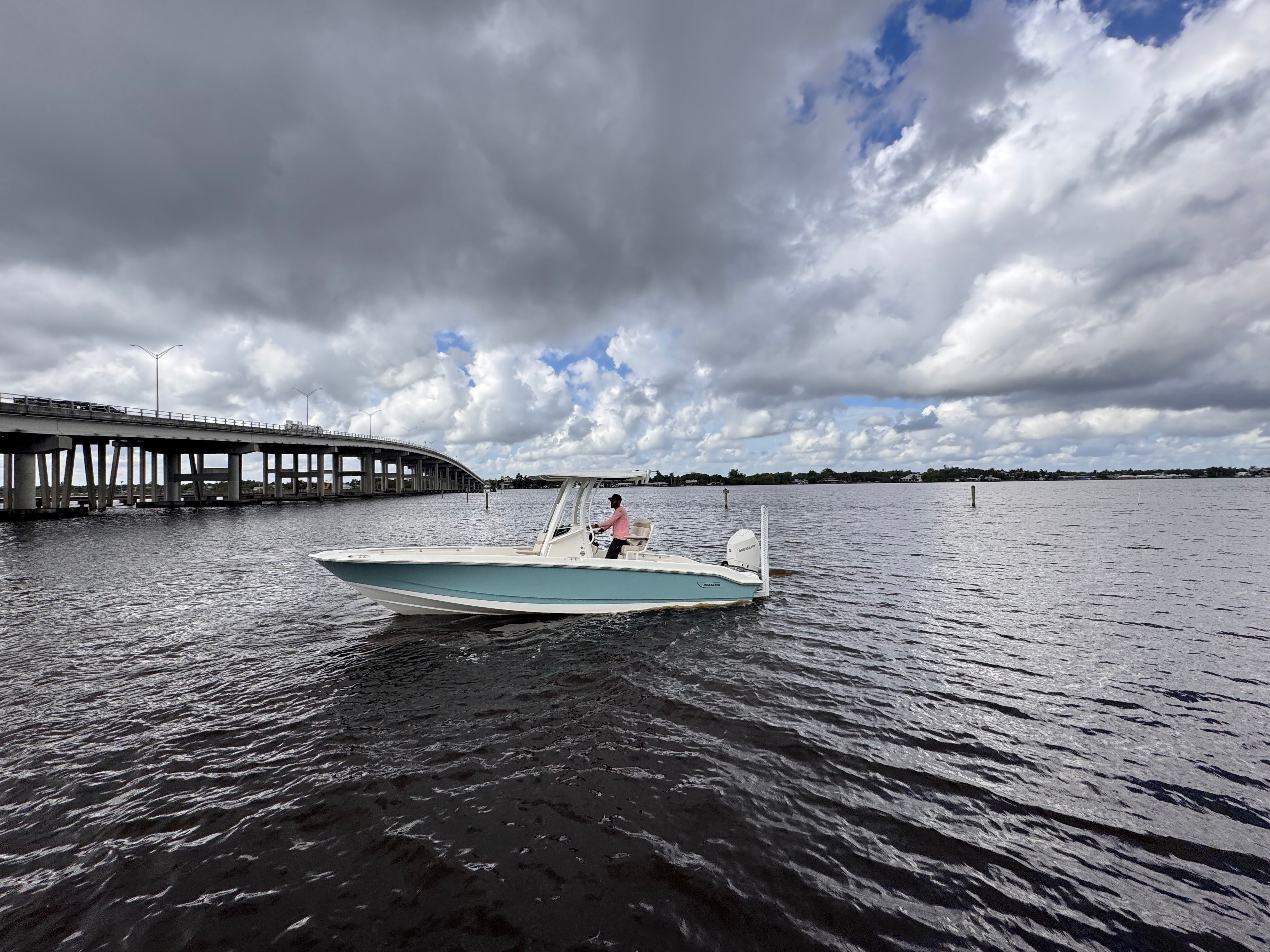 2026 Boston Whaler 250 Dauntless