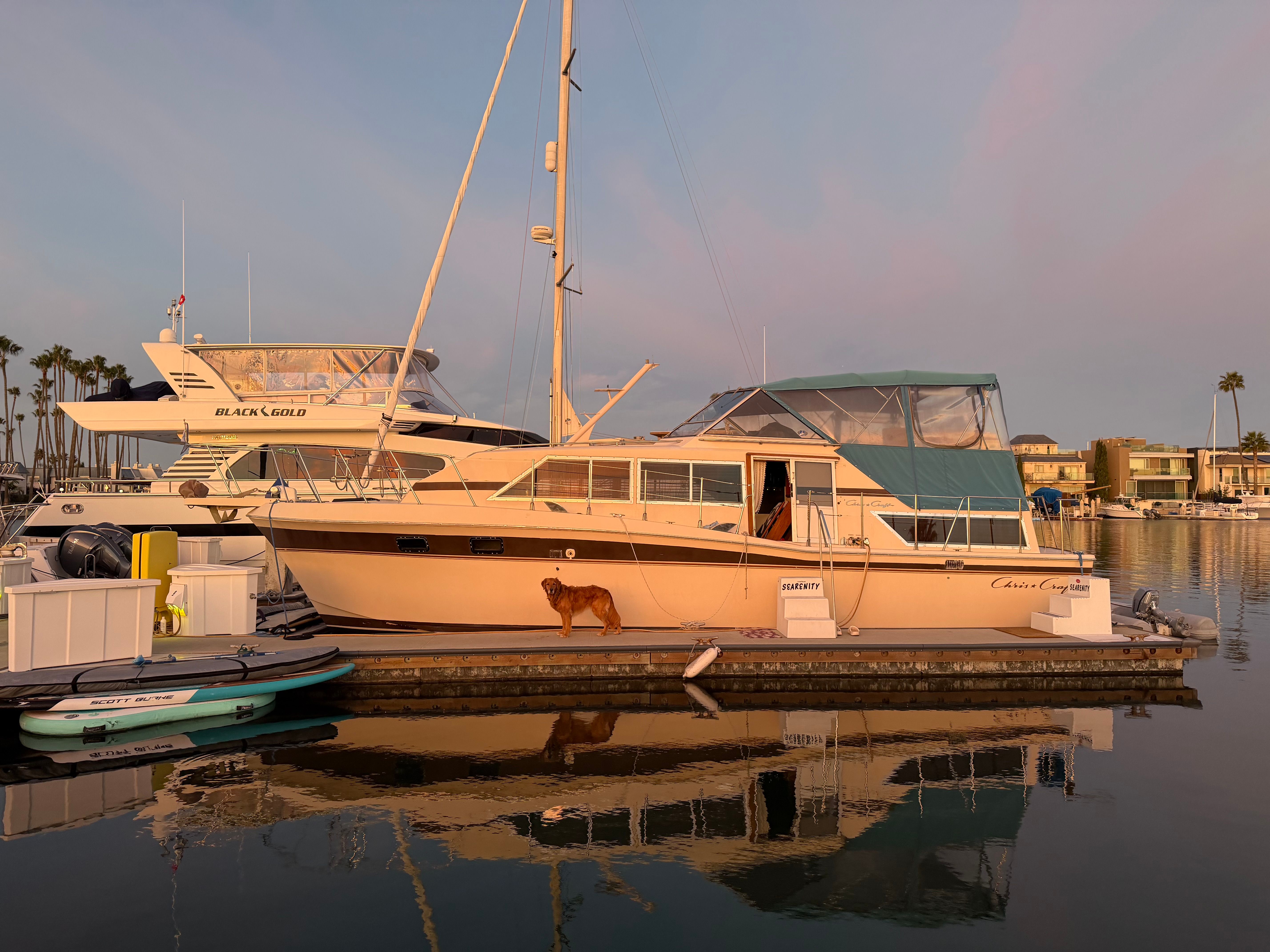1982 Chris-Craft 381 Catalina