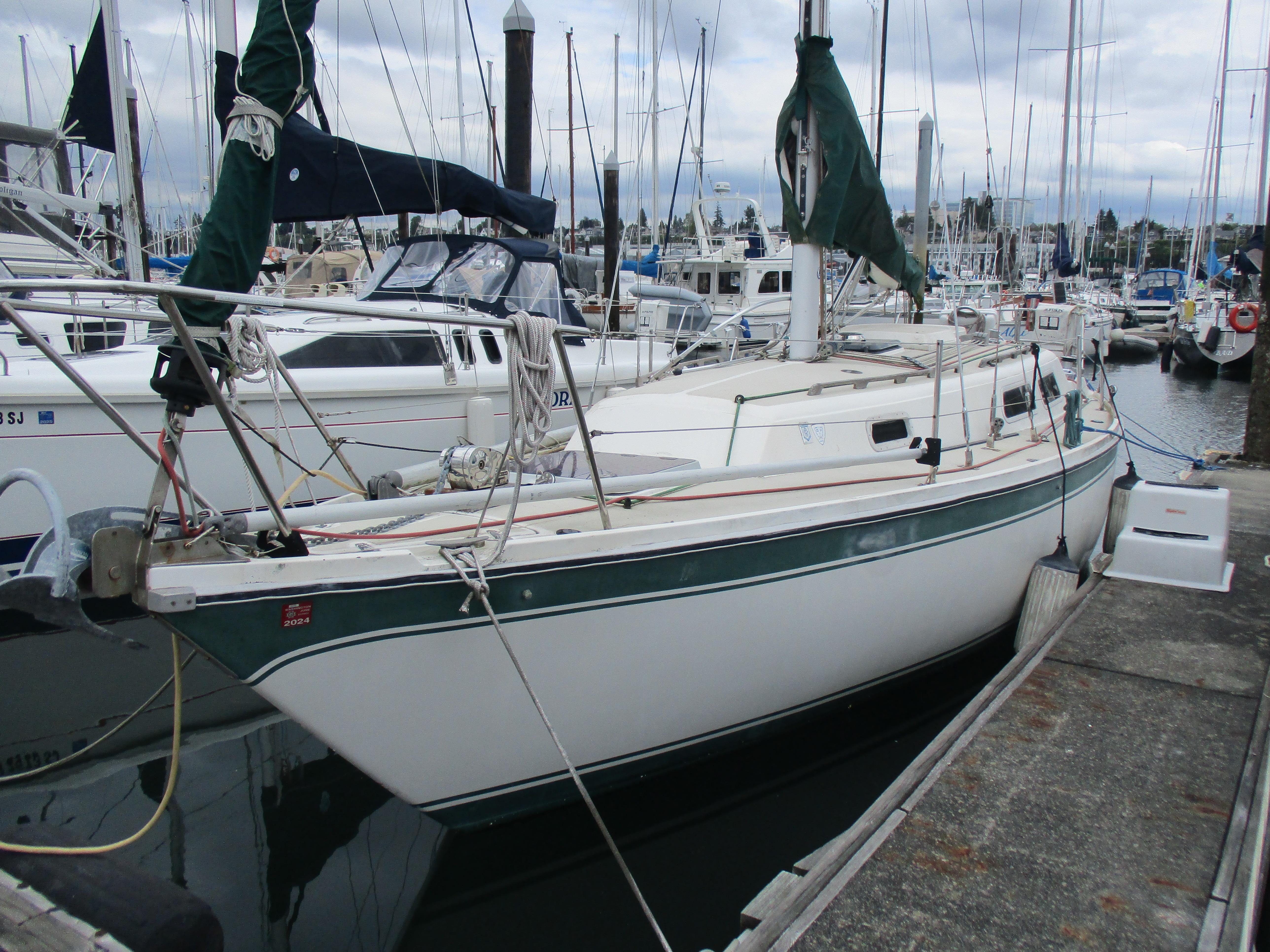 1979 CAL 31