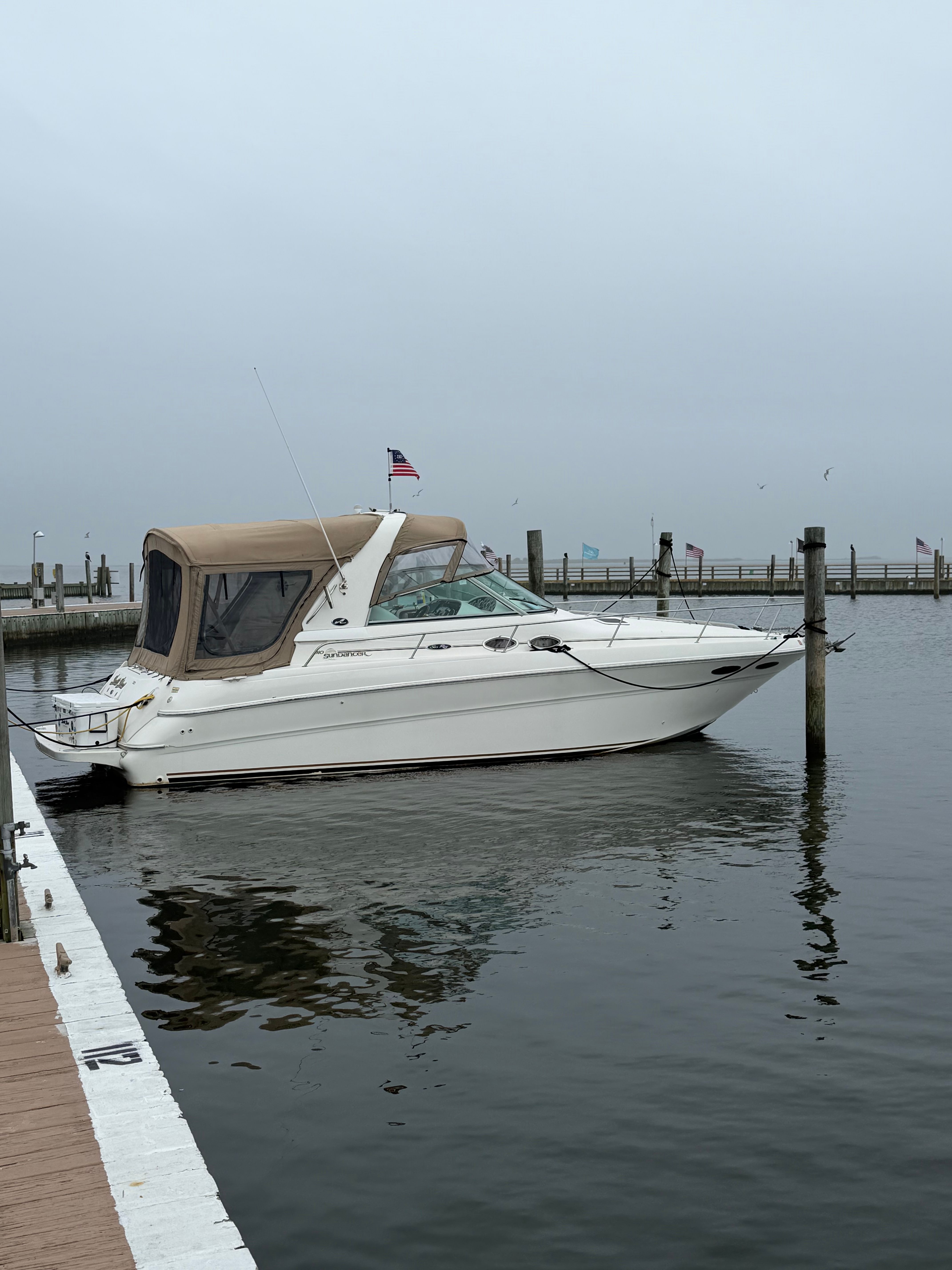 2001 Sea Ray Sundancer 310